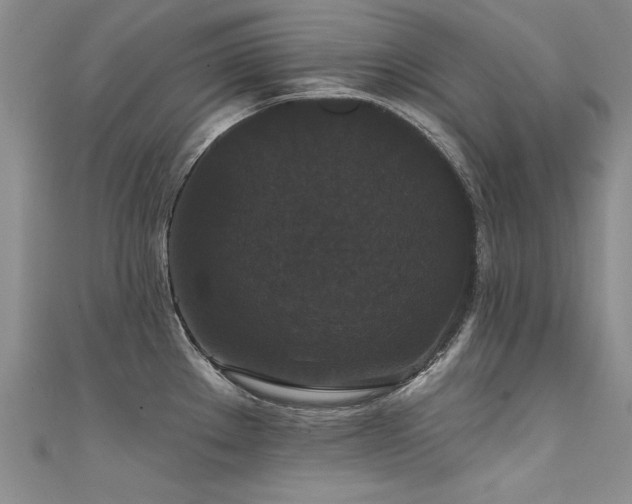 X0000111521289200907141500