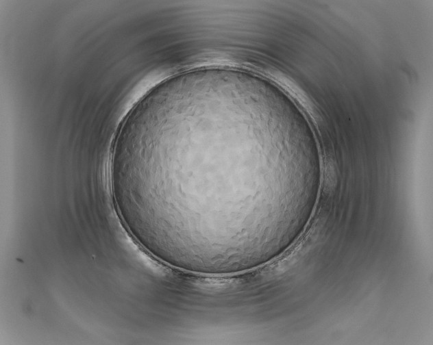 X0000111521290200907141500