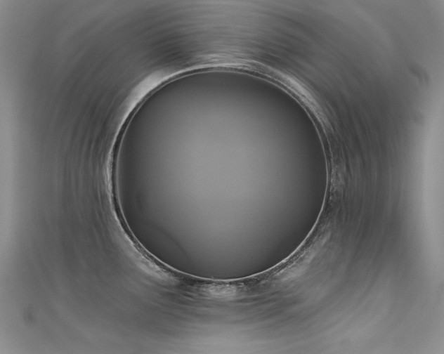 X0000111521291200907141500