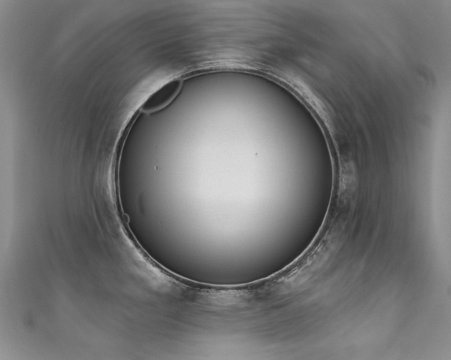 X0000111521293200907141500