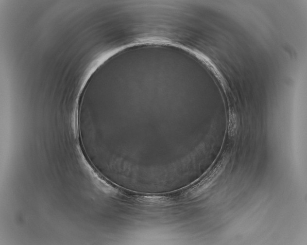 X0000111521295200907141500
