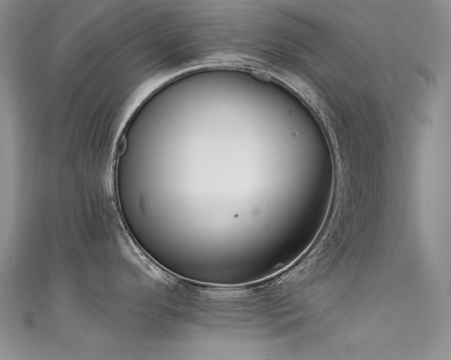 X0000111521296200907141500