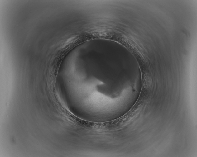 X0000111521297200907141459