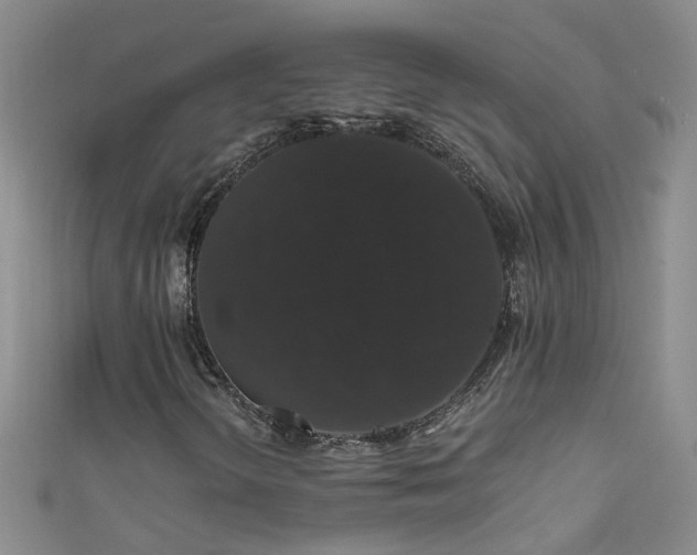 X0000111521298200907141459
