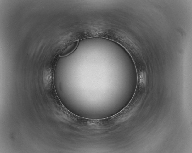 X0000111521299200907141459