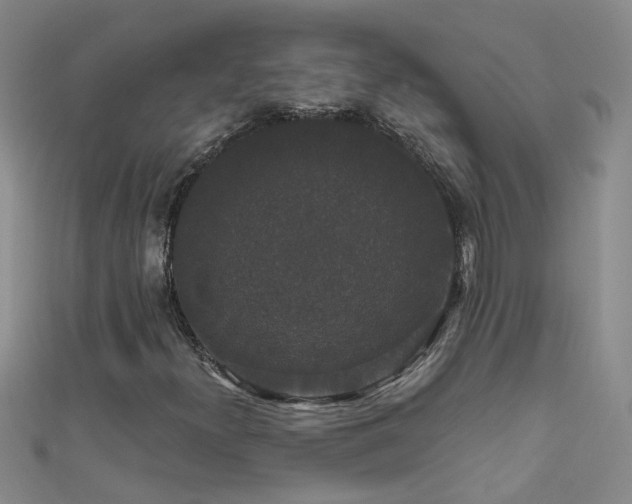 X0000111521300200907141459