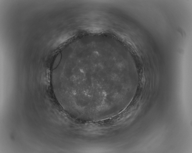 X0000111521301200907141459