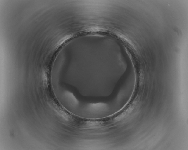 X0000111521305200907141500