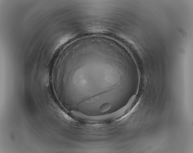 X0000111521306200907141500