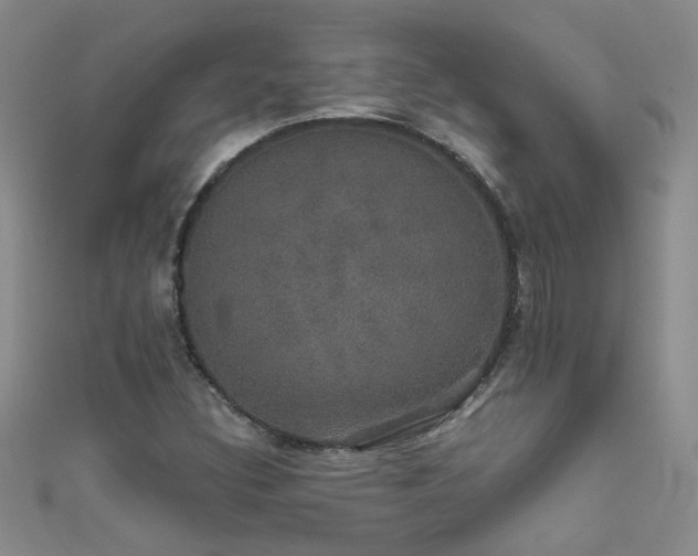 X0000111521308200907141500