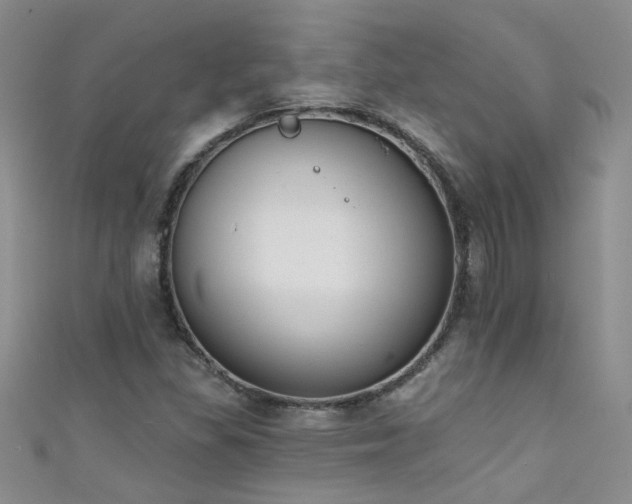 X0000111521309200907141500