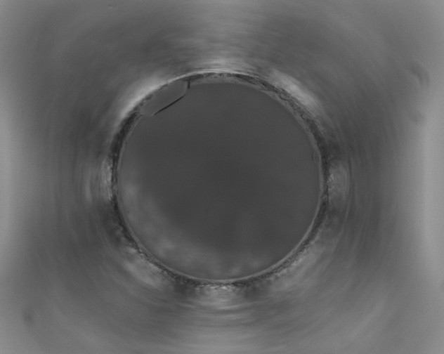 X0000111521310200907141500