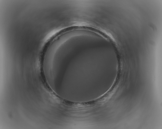 X0000111521311200907141500