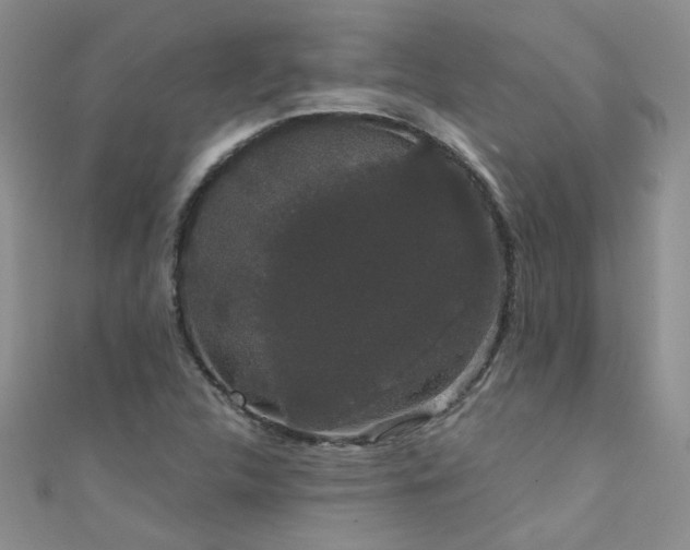 X0000111521312200907141500