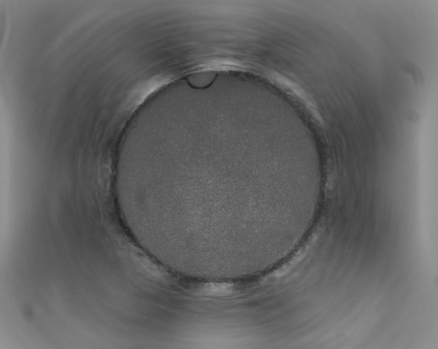 X0000111521313200907141500