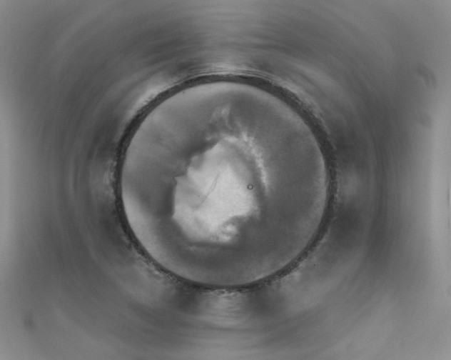 X0000111521314200907141500