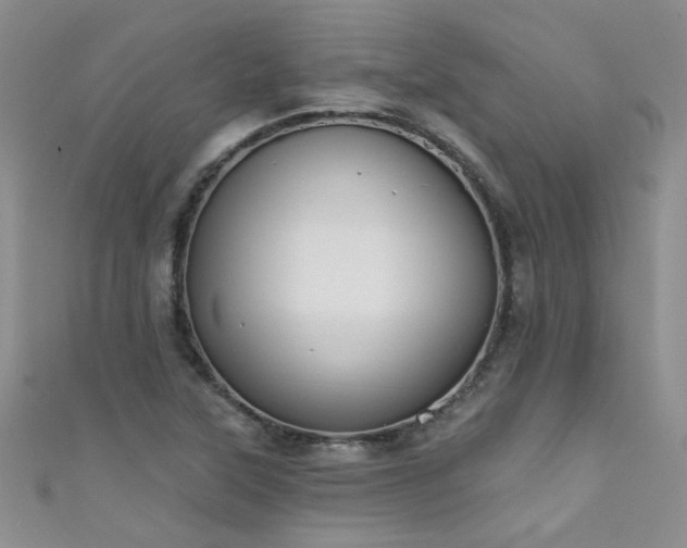 X0000111521315200907141500