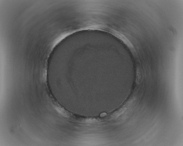 X0000111521316200907141500