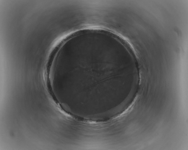 X0000111521319200907141500