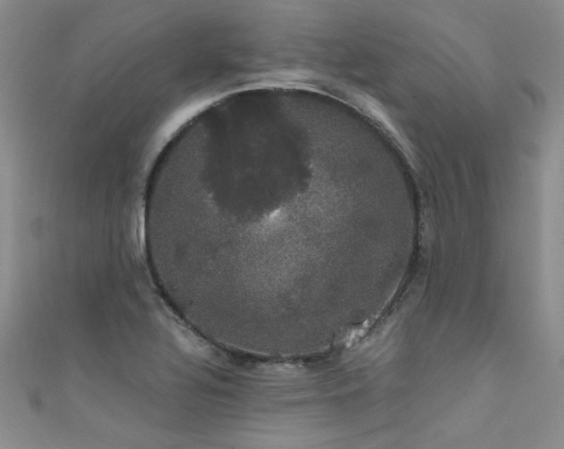 X0000111521320200907141500
