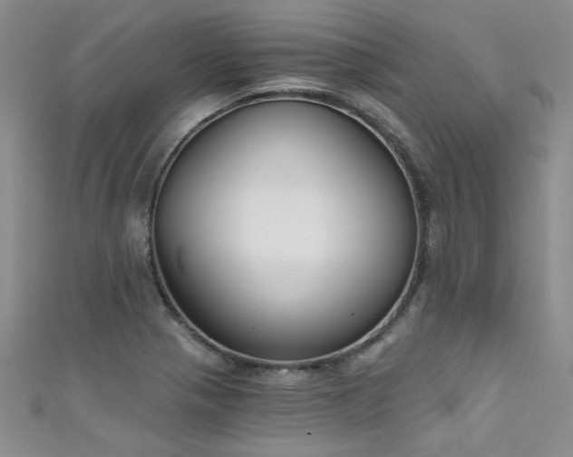 X0000111521321200907141500