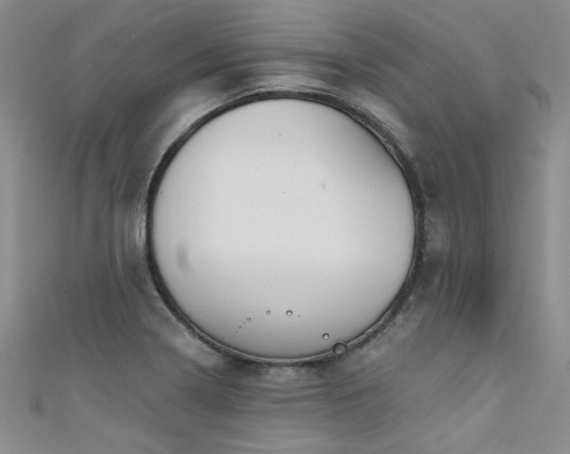 X0000111521322200907141500