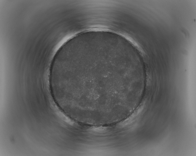 X0000111521325200907141500