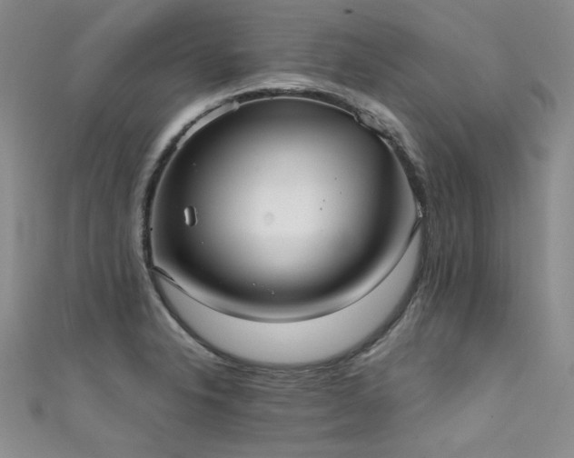 X0000111521326200907141500