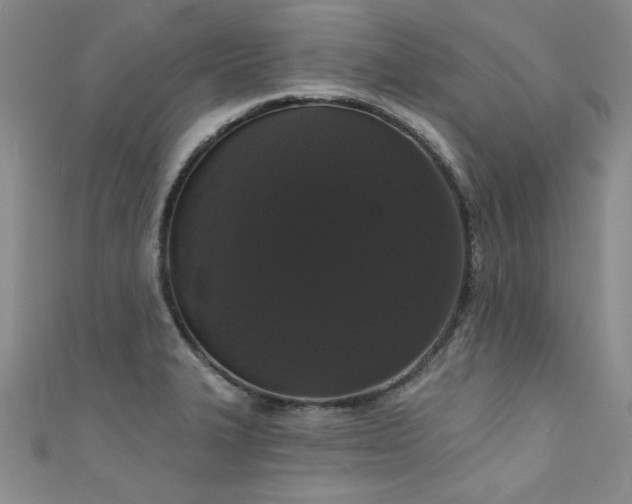 X0000111521327200907141500