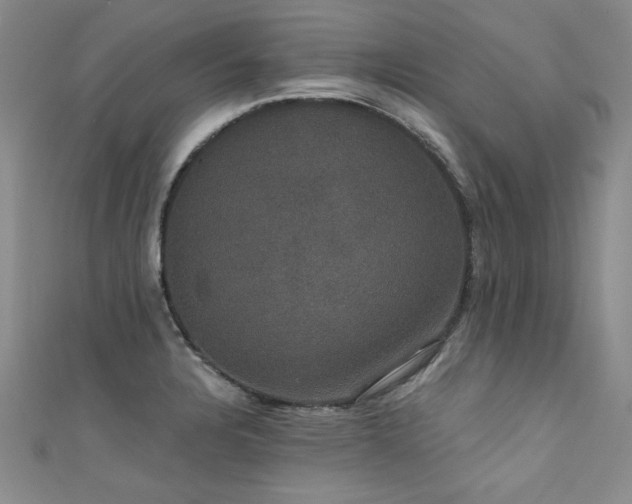 X0000111521328200907141500