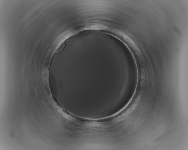 X0000111521329200907141500