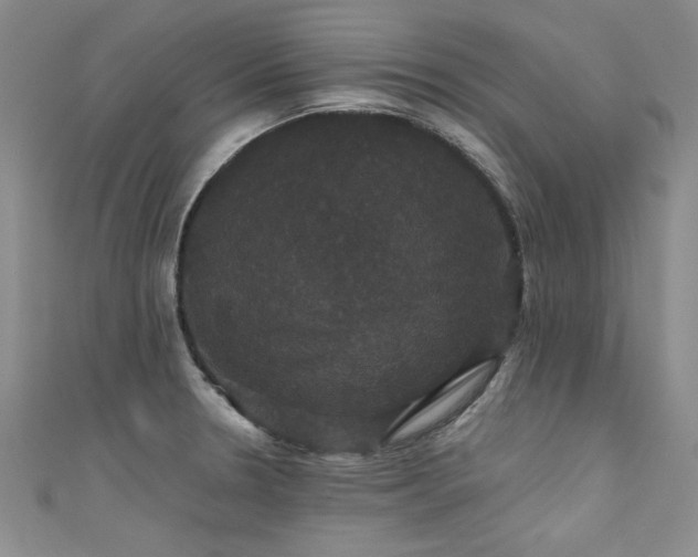 X0000111521330200907141500