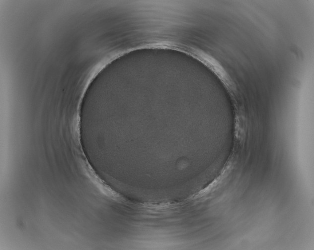 X0000111521332200907141500