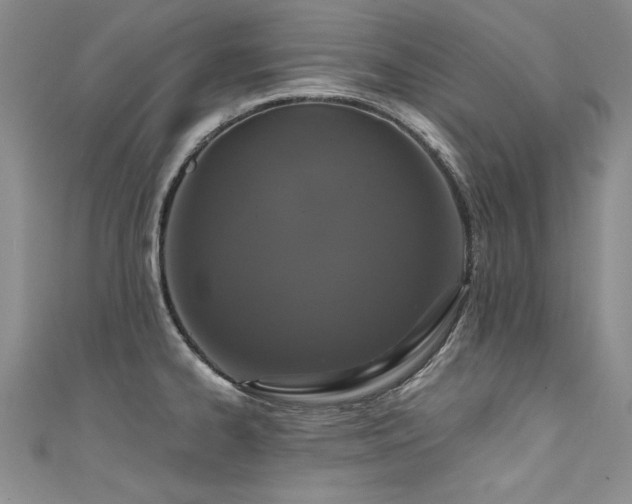 X0000111521334200907141500
