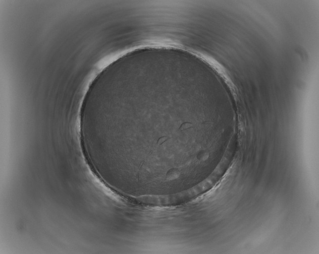 X0000111521335200907141500