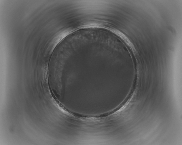 X0000111521337200907141500