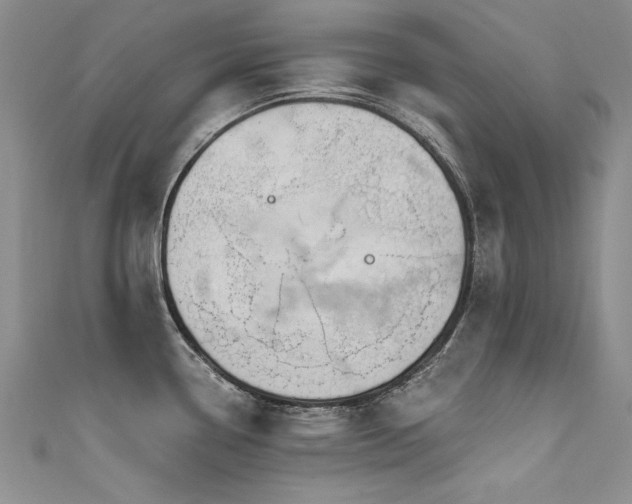 X0000111521338200907141500