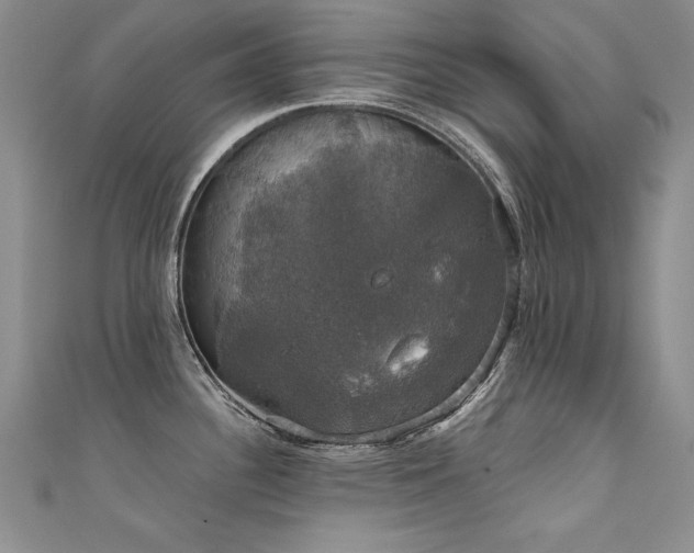 X0000111521340200907141500