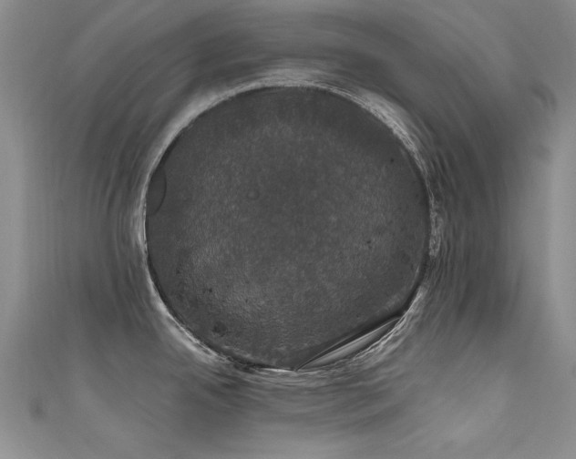 X0000111521342200907141500