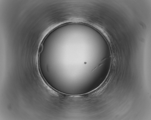 X0000111521343200907141500