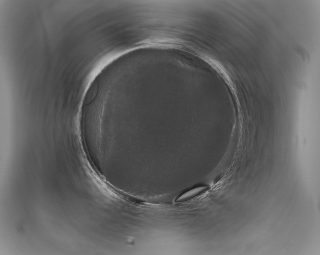 X0000111521344200907141500