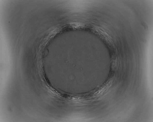 X0000111521345200907141459