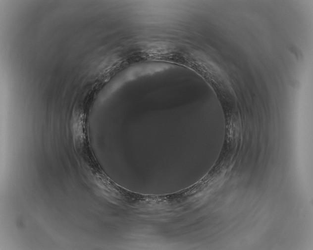 X0000111521346200907141459