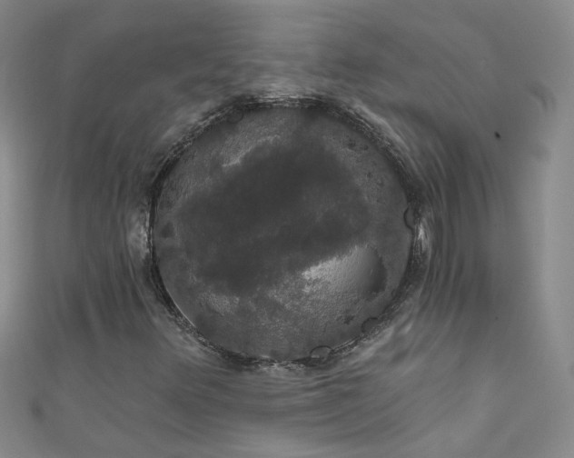 X0000111521348200907141459
