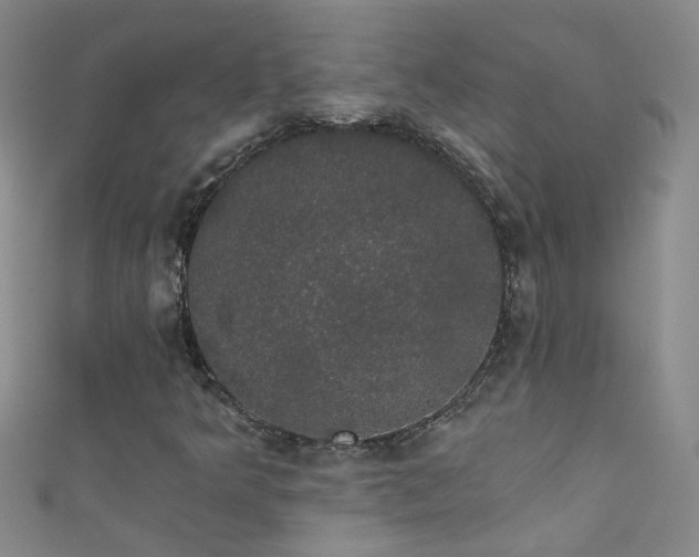 X0000111521349200907141459