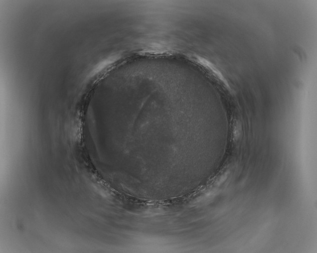 X0000111521350200907141459