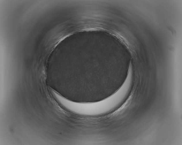 X0000111521353200907141459