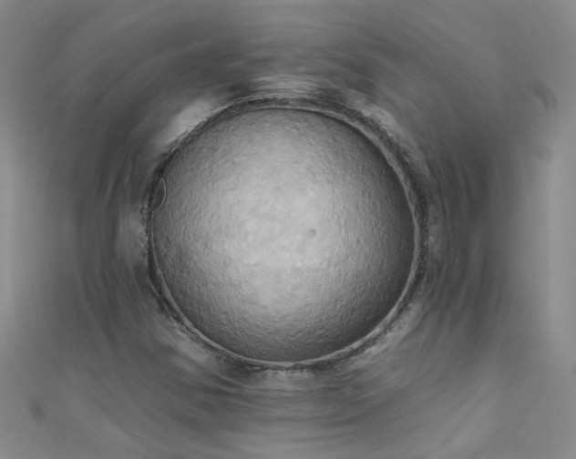 X0000111521354200907141459