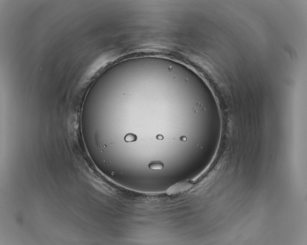 X0000111521355200907141459
