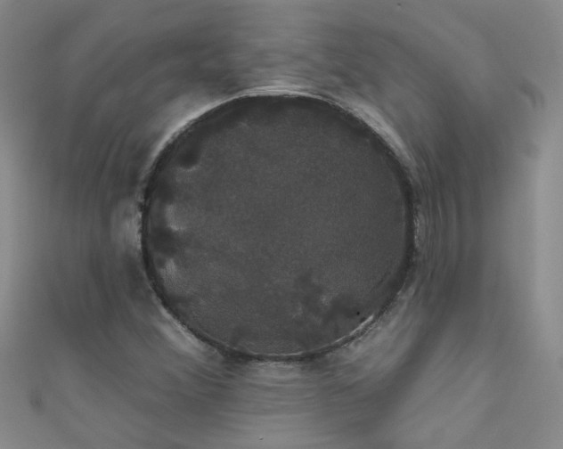 X0000111521356200907141459